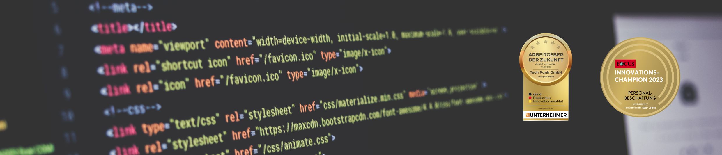 Alles was du über die Tech Punk GmbH wissen musst Monitor mit Code und Innovation Champion 2023